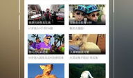 69视频免费看,揭秘热门视频平台的免费观影秘籍