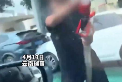 耍流氓视频,耍流氓视频背后的真相与反思